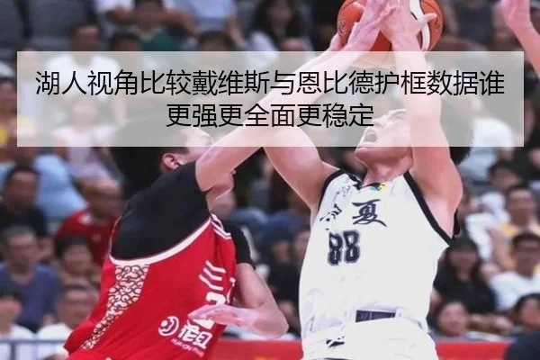 湖人视角比较戴维斯与恩比德护框数据谁更强更全面更稳定