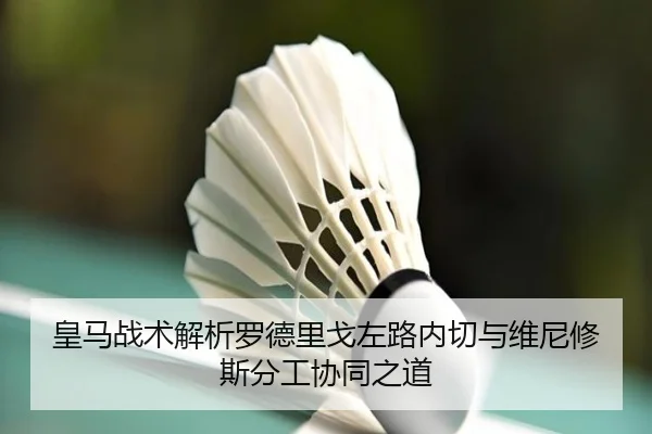 皇马战术解析罗德里戈左路内切与维尼修斯分工协同之道