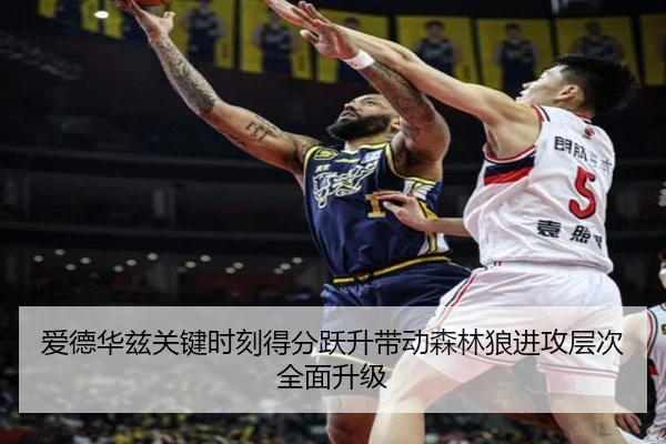 爱德华兹关键时刻得分跃升带动森林狼进攻层次全面升级